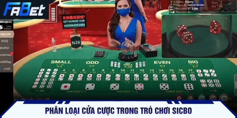 Phân loại cửa cược trong trò chơi sicbo